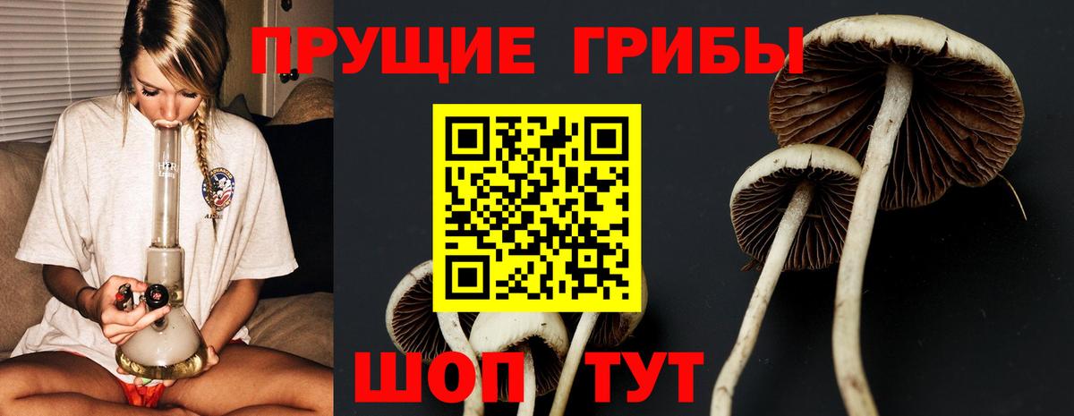 Галлюциногенные грибы Magic Shrooms Похвистнево