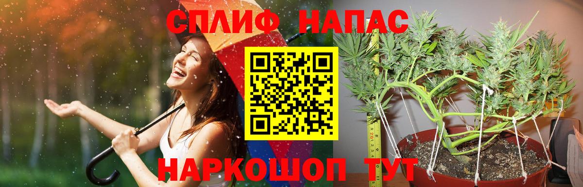 Каннабис план  Вход с VPN  Бошки марихуана семена  Канабис семена  Похвистнево 